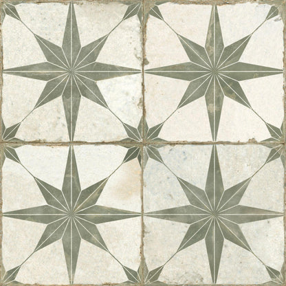 FS Star Sage 45-Tiles-Delforno