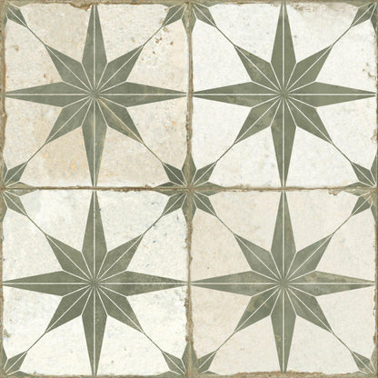 FS Star Sage 45-Tiles-Delforno