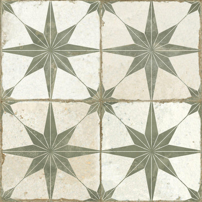 FS Star Sage 45-Tiles-Delforno