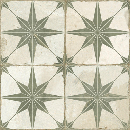 FS Star Sage 45-Tiles-Delforno